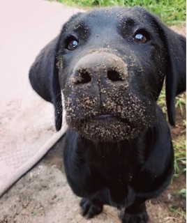 No, I wasn't digging. Why do you ask?